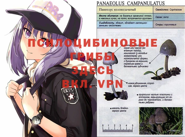 2c-b Алексин