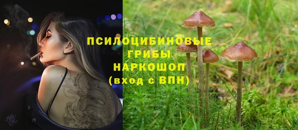 a pvp Надым